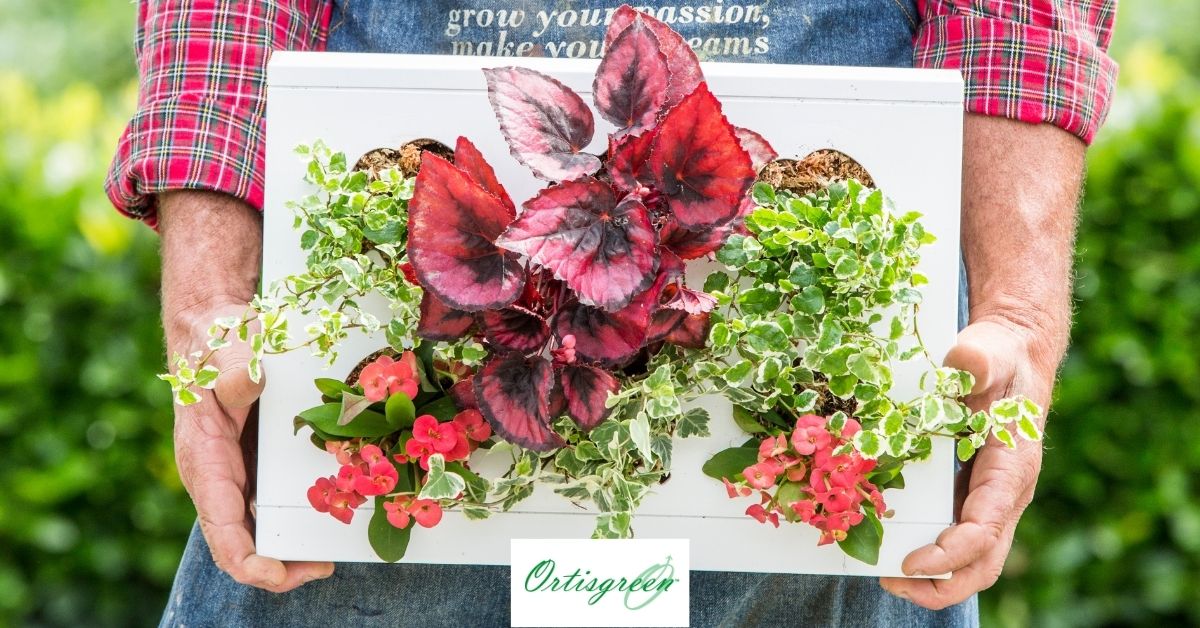 HOH.Green Vertical greenery in your home! – hoh.green