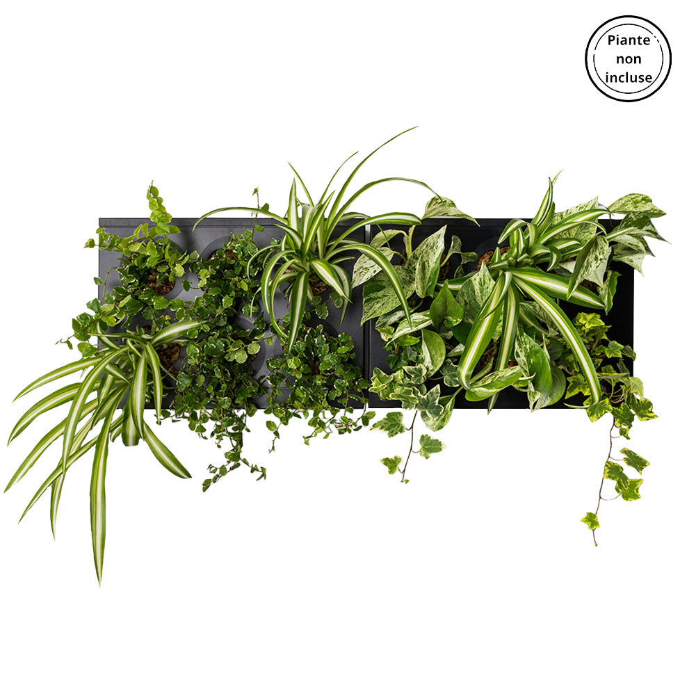 HOH! DUO SMART Horizontal | Struttura Modulare Fai da Te - Nero - hoh.green