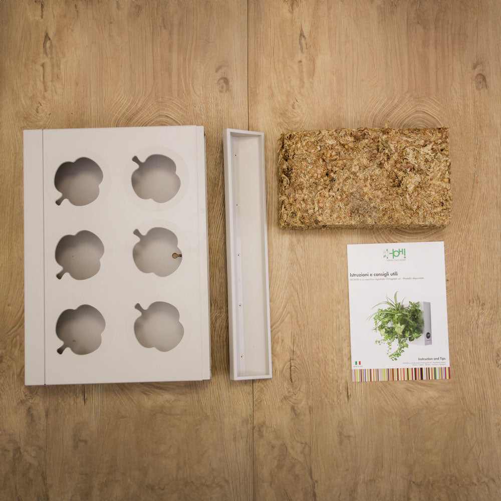 HOH! | Il quadro vegetale fai da te | Colore a scelta - Bianco - hoh.green