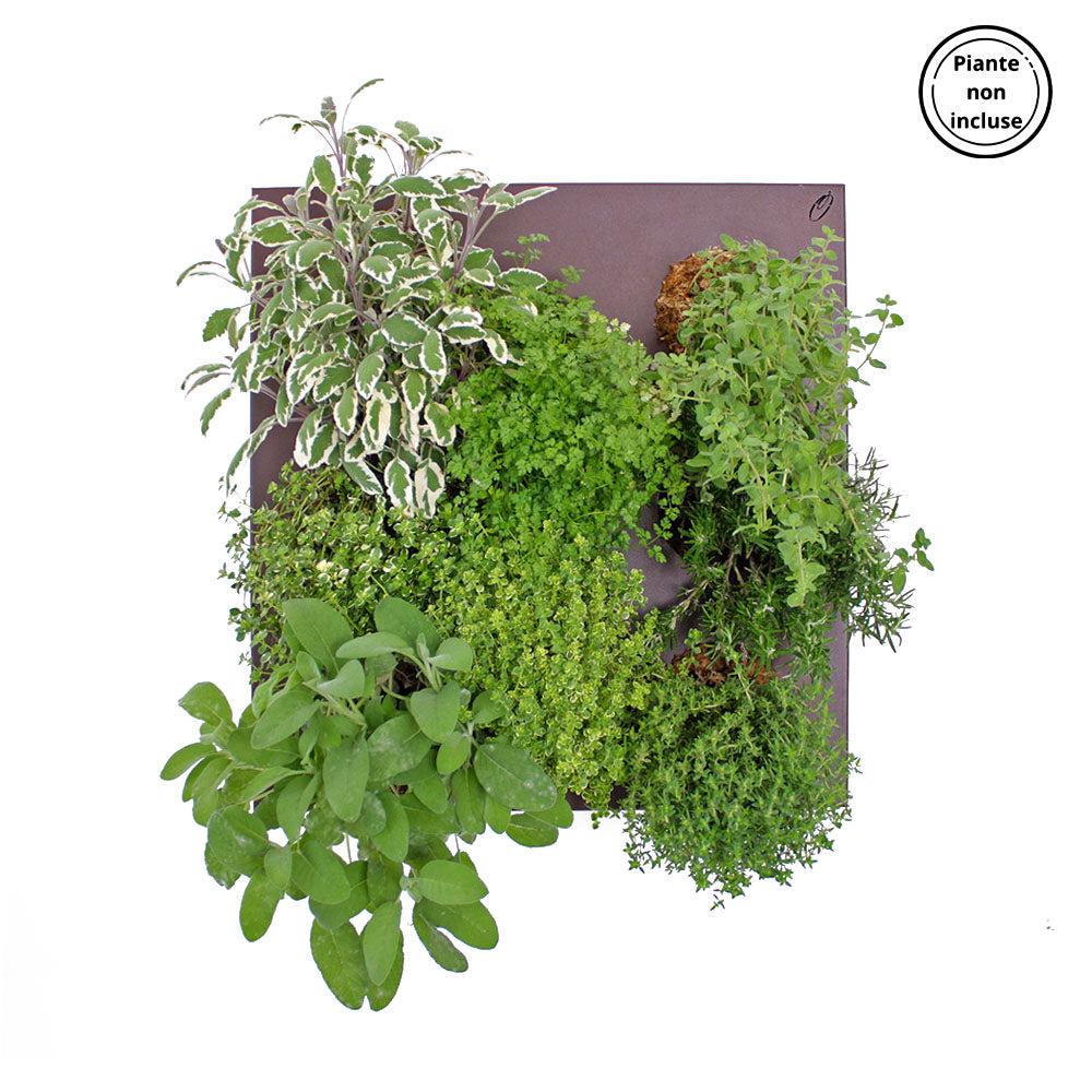 HUB | Modulo per giardino verticale Fai da Te a 8 FORI | Acciaio riciclato | Colore a scelta - Bianco - hoh.green