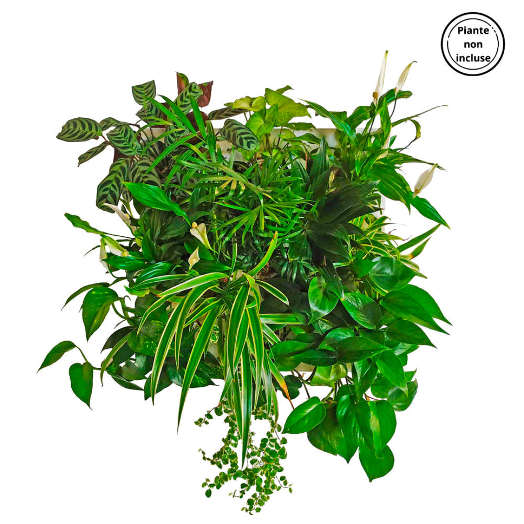 HUB | Modulo per giardino verticale Fai da Te a 8 FORI | Acciaio riciclato | Colore a scelta - Bianco - hoh.green
