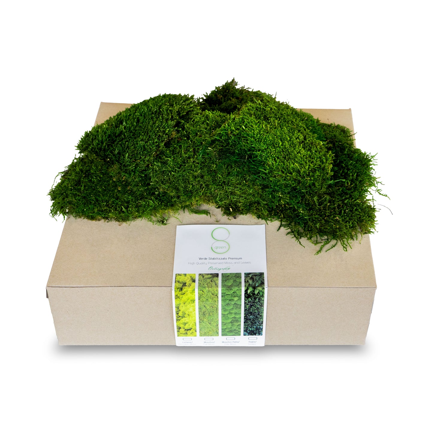 Muschio stabilizzato premium | Verde bosco - 500g - hoh.green