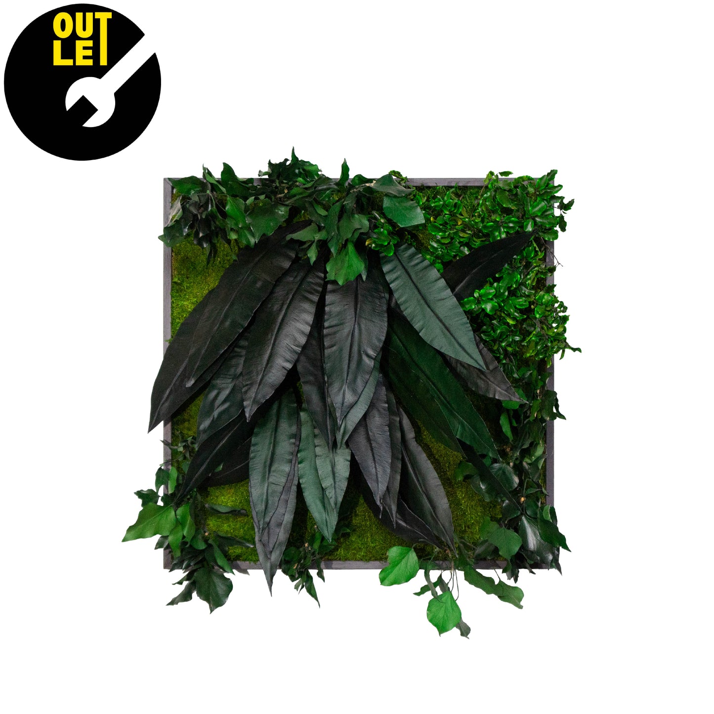 Quadretti 50x50 cm in muschio con essenze stabilizzate | Ex Noleggio - Composizione 1 - hoh.green