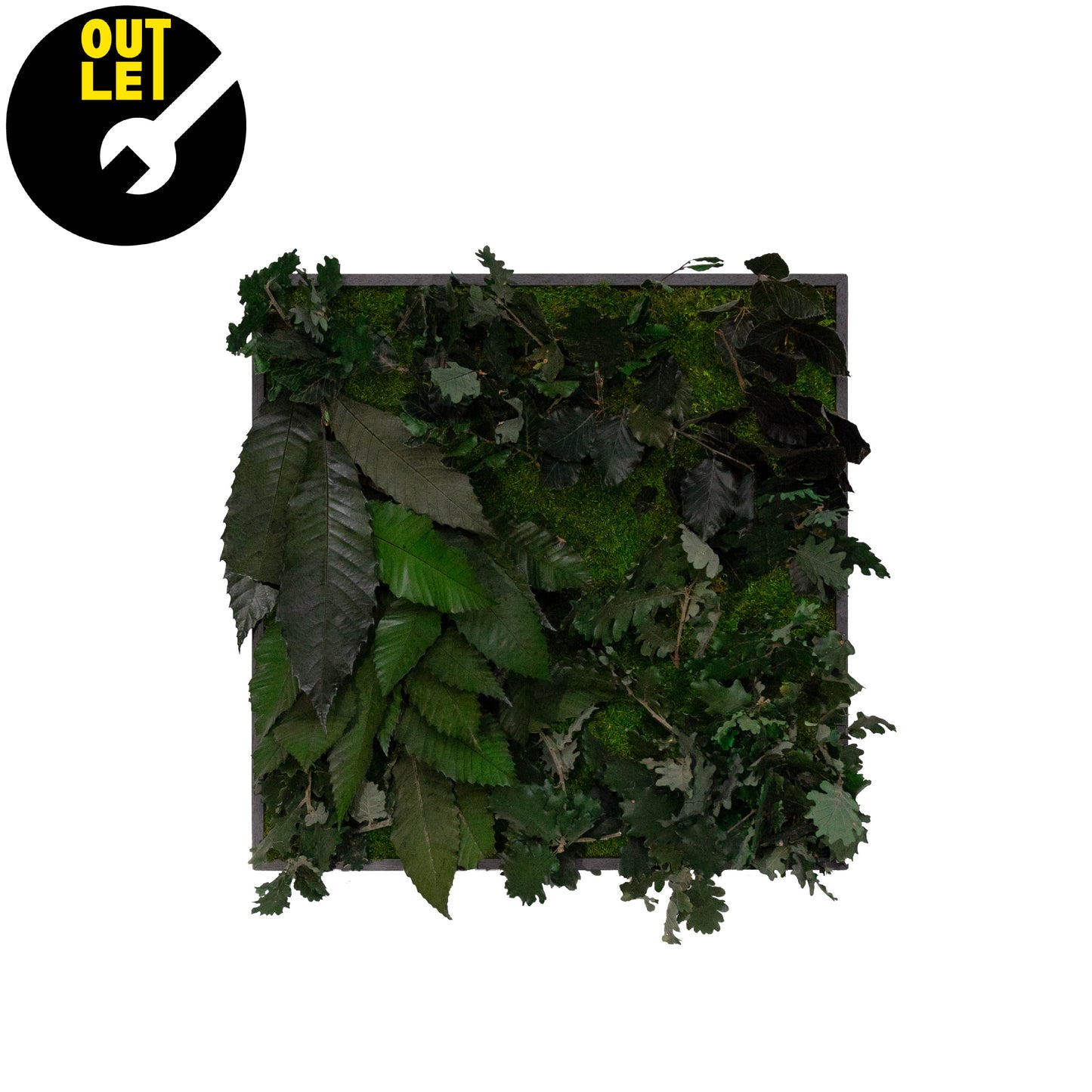 Quadretti 50x50 cm in muschio con essenze stabilizzate | Ex Noleggio - Composizione 3 - hoh.green