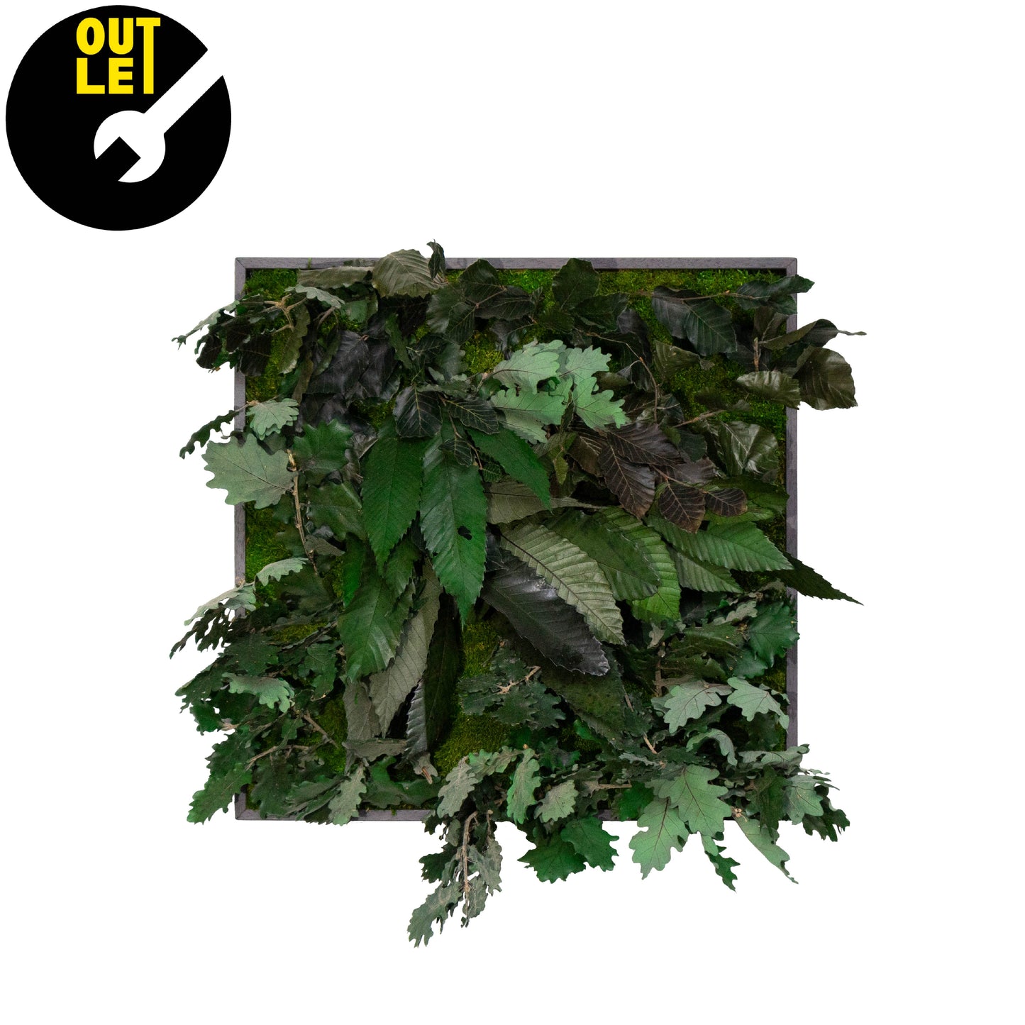 Quadretti 50x50 cm in muschio con essenze stabilizzate | Ex Noleggio - Composizione 4 - hoh.green