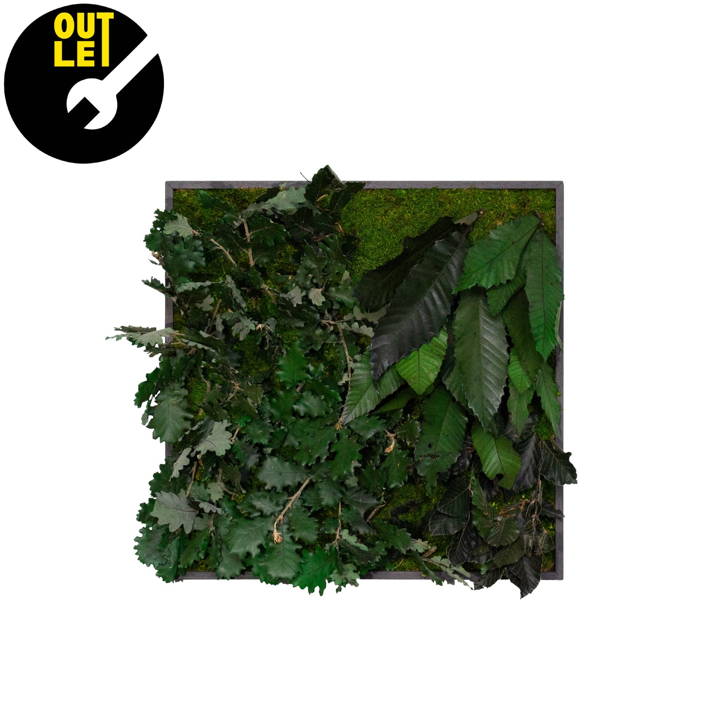 Quadretti 50x50 cm in muschio con essenze stabilizzate | Ex Noleggio - Composizione 5 - hoh.green