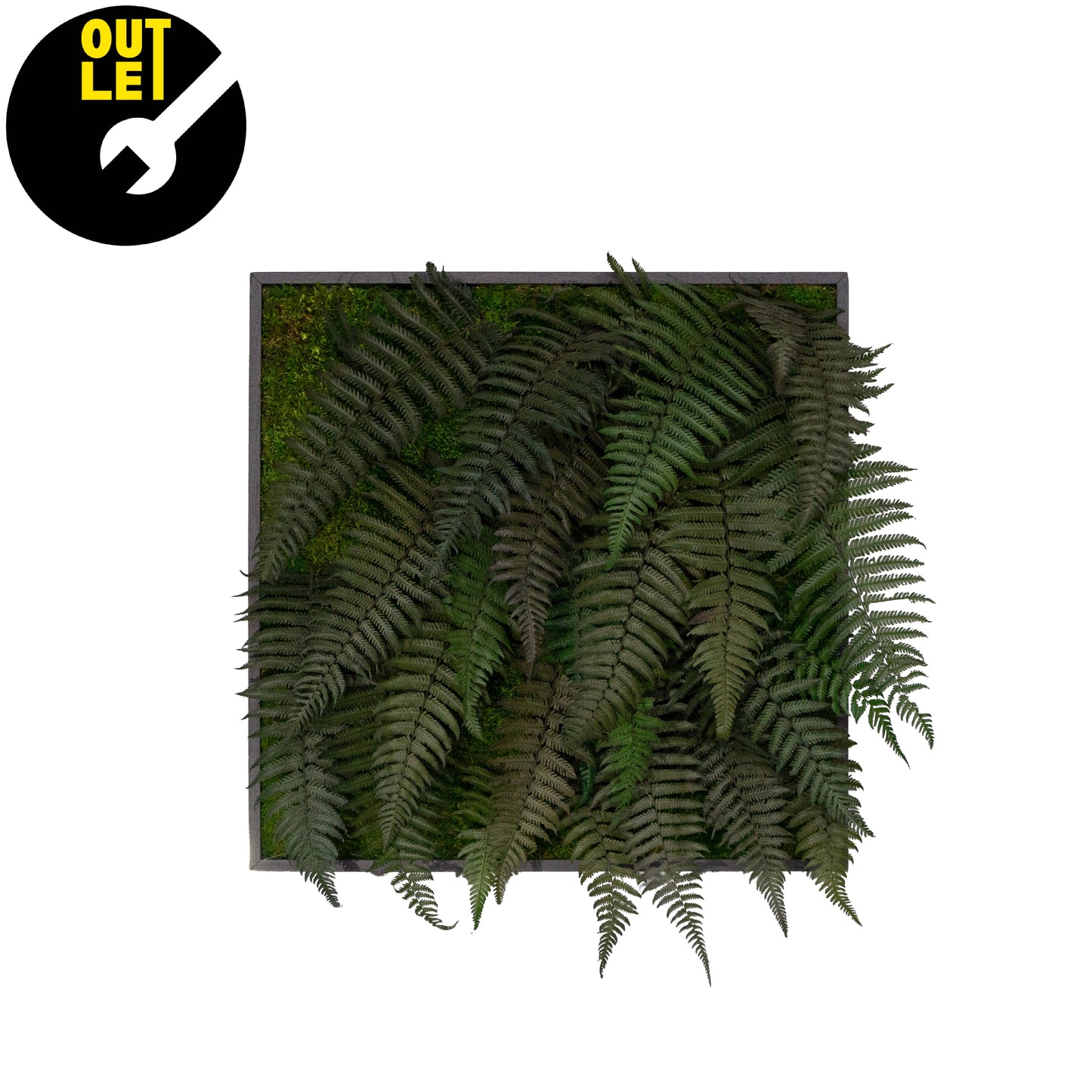 Quadretti 50x50 cm in muschio con essenze stabilizzate | Ex Noleggio - Composizione 6 - hoh.green