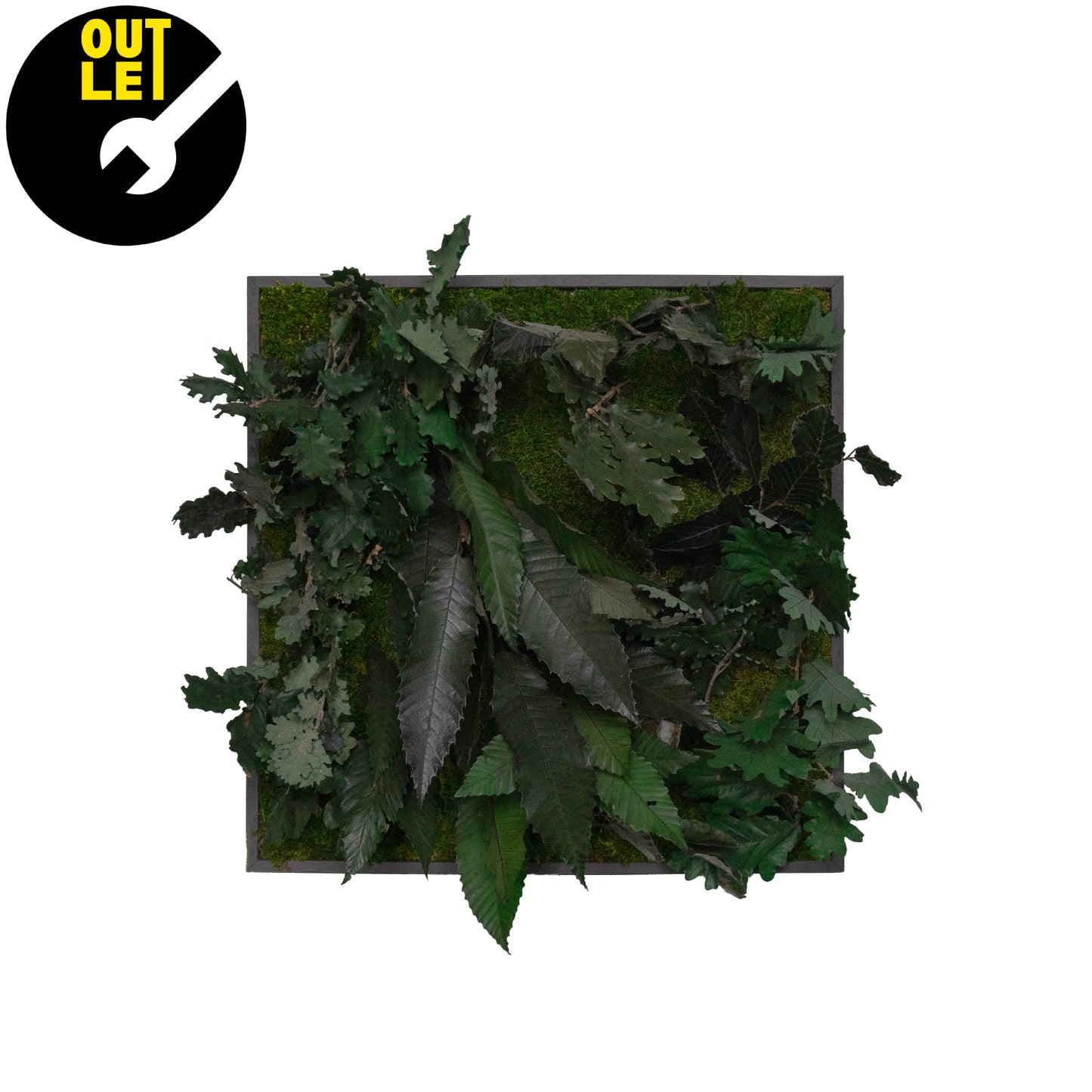 Quadretti 50x50 cm in muschio con essenze stabilizzate | Ex Noleggio - Composizione 8 - hoh.green