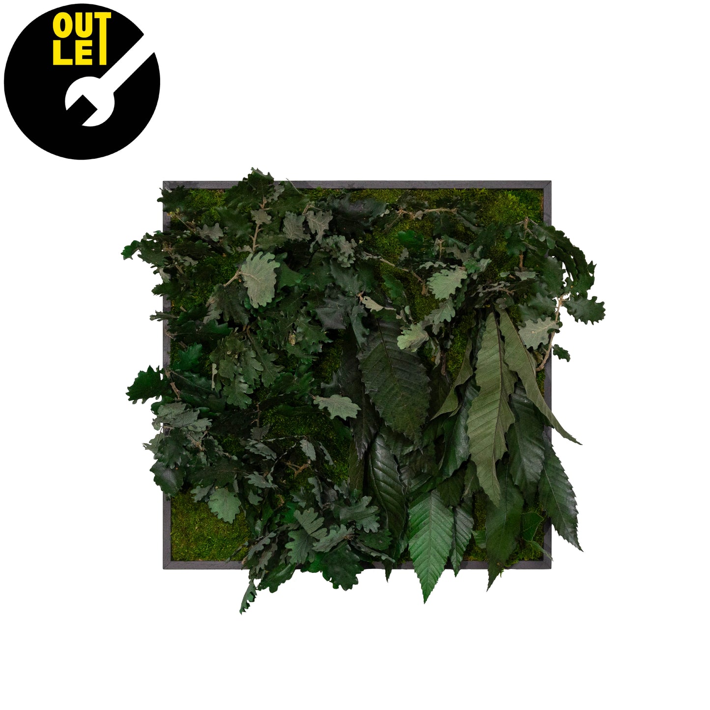 Quadretti 50x50 cm in muschio con essenze stabilizzate | Ex Noleggio - Composizione 9 - hoh.green