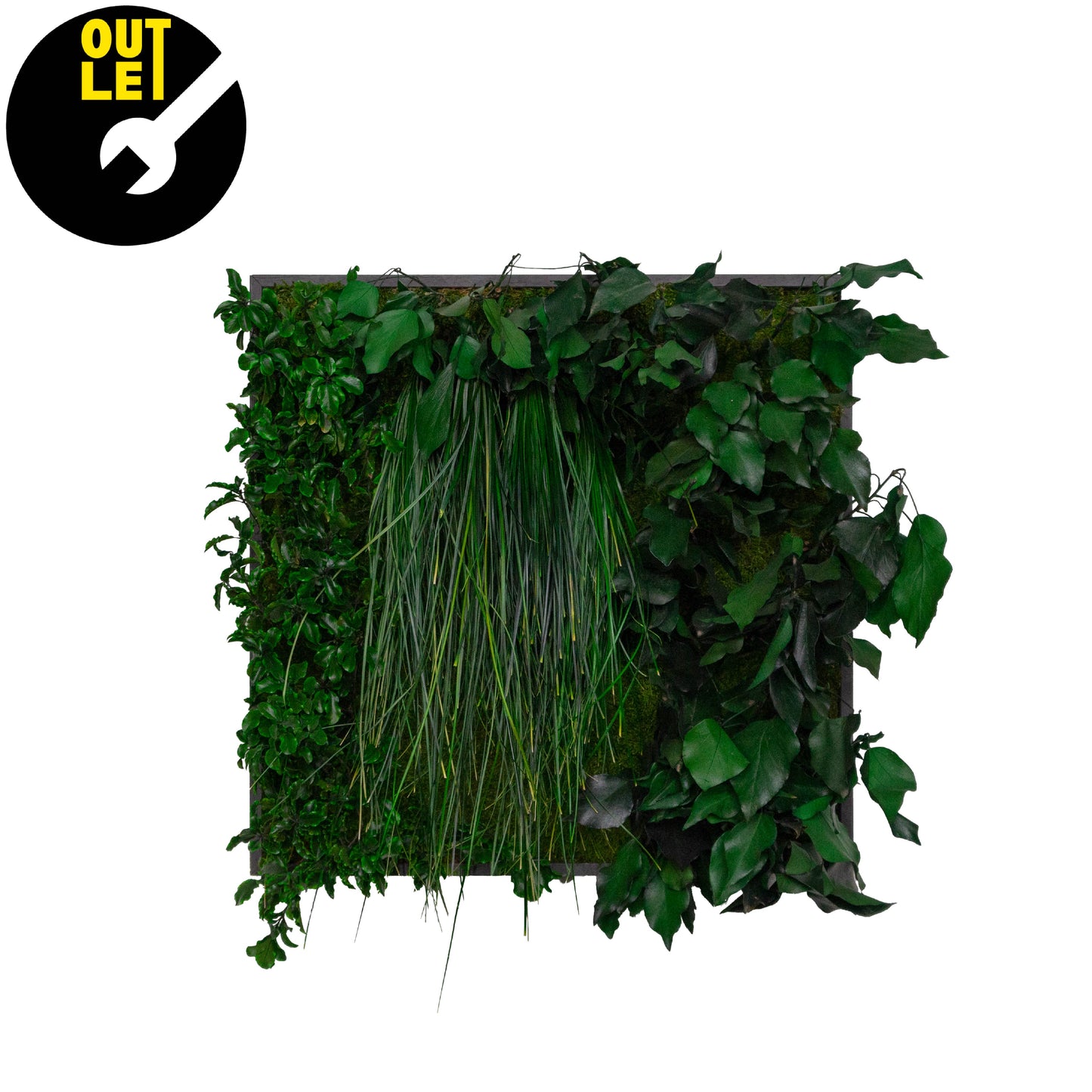 Quadretti 50x50 cm in muschio con essenze stabilizzate | Ex Noleggio - Composizione 10 - hoh.green