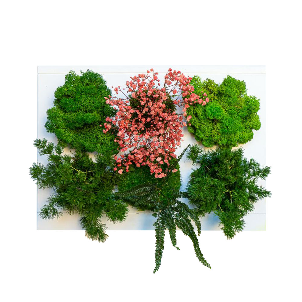 StabilHOH! | Quadro vegetale stabilizzato | Composizione Dahlia - Default Title - hoh.green