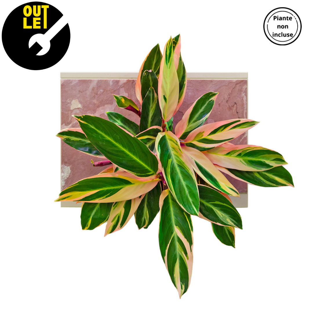 HOH! ArtKami Stone Pink OUTLET | Fai da te - Destra - hoh.green
