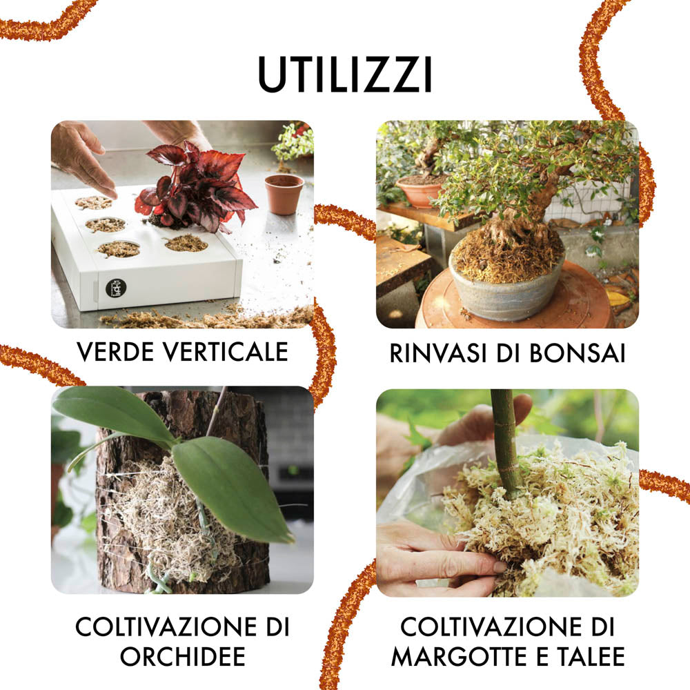 Sfagno cileno premium in fibre | Ortisgreen | Peso a scelta