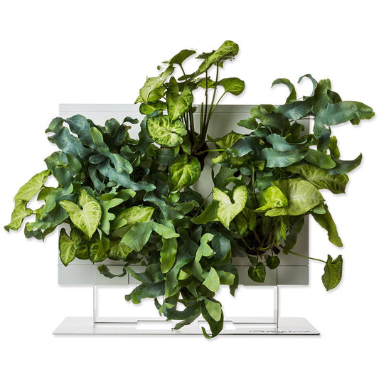 HOH! + Supporto da tavolo | Desk stand fai da te - Default Title - hoh.green