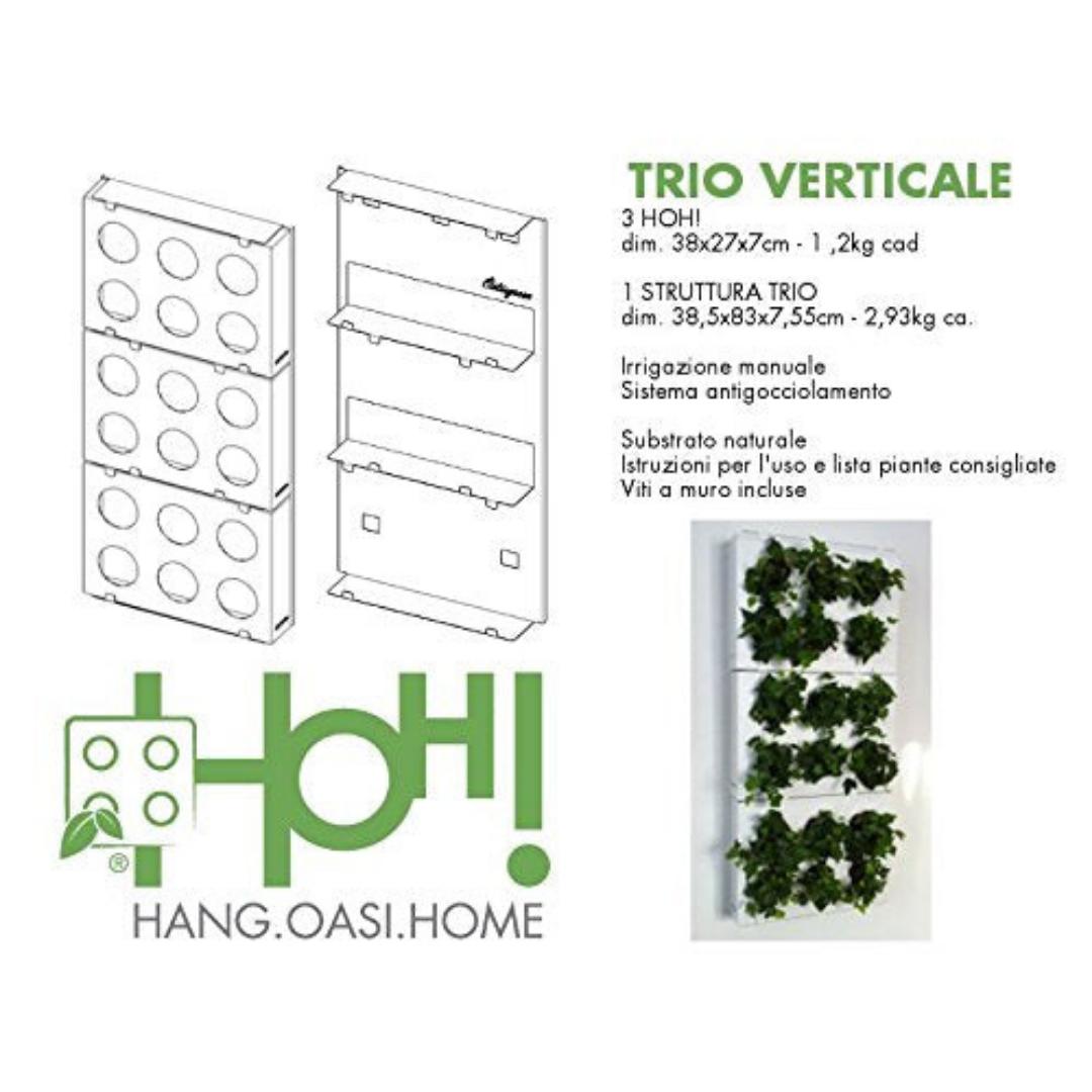 HOH! Trio Vertical | Composizione Quadri Vegetali Fai da Te con Telaio - hoh.green - hoh