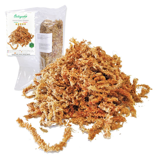 Sfagno cileno premium in fibre | Ortisgreen | Peso a scelta - 150g - hoh.green