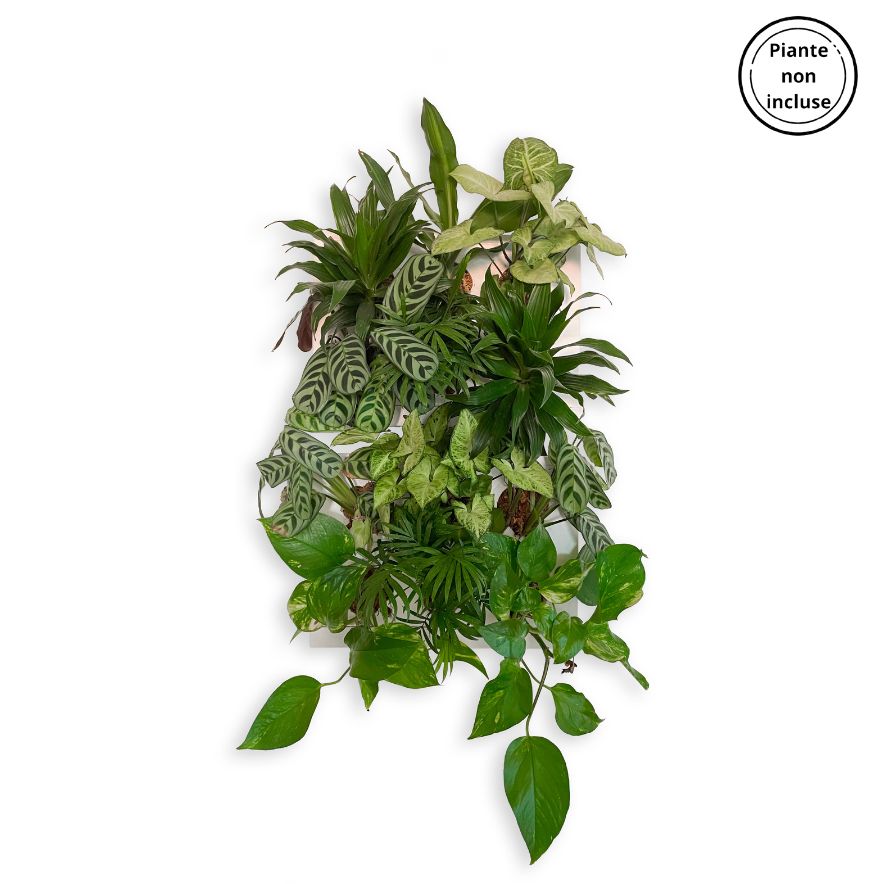 HOH! DUO SMART Vertical | Struttura Modulare Fai da Te - Bianco - hoh.green