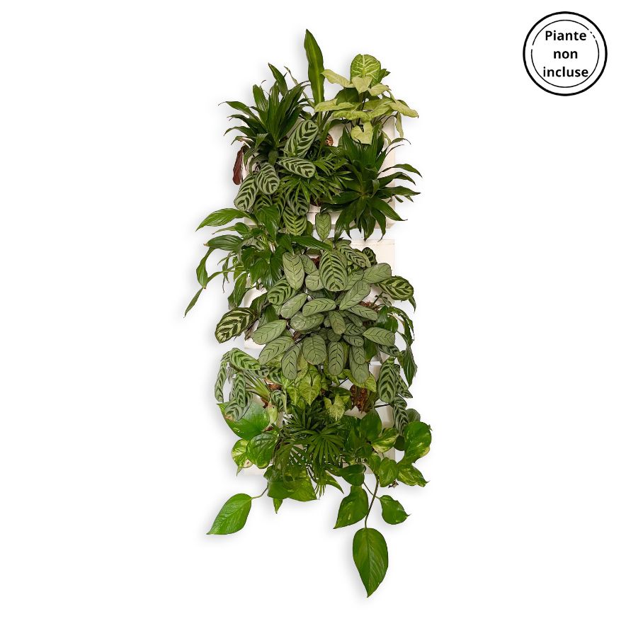 HOH! TRIO SMART Vertical | Struttura Modulare Fai da Te - Bianco - hoh.green
