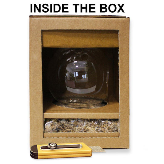 OIDS | Sfera in vetro da appendere | Fai da Te - Default Title - hoh.green