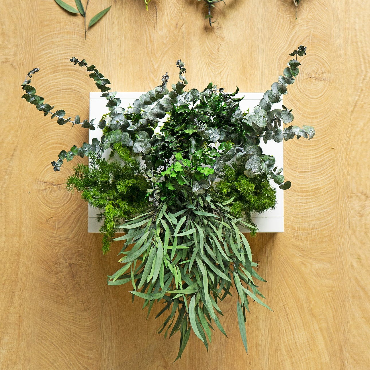 Pollice Nero - Quadri Vegetali Zero Manutenzione