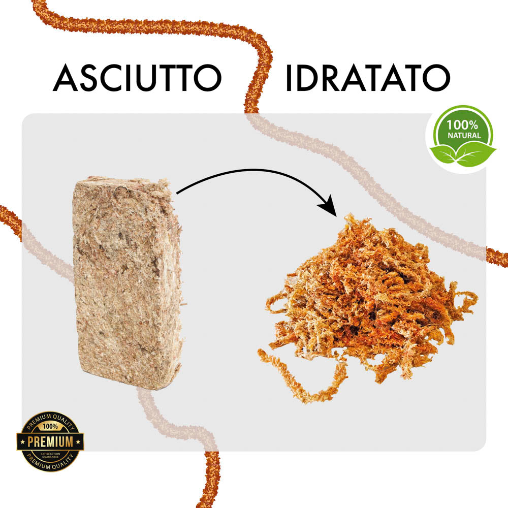 Sfagno cileno premium in fibre | Ortisgreen | Peso a scelta