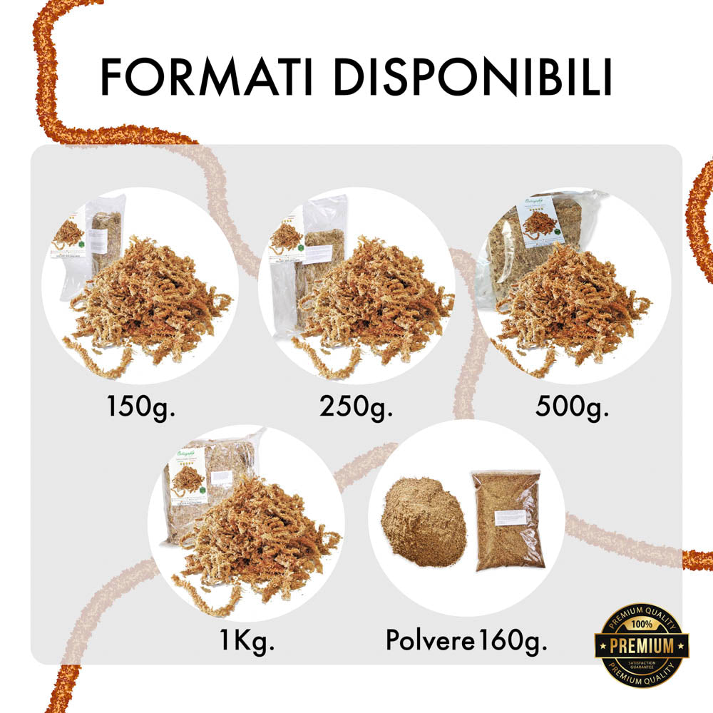 Sfagno cileno premium in fibre | Ortisgreen | Peso a scelta