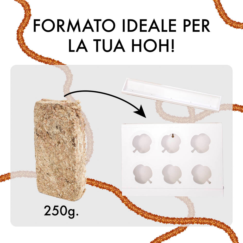 Sfagno cileno premium in fibre | Ortisgreen | Peso a scelta