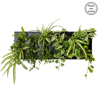 HOH! DUO SMART Horizontal | Struttura Modulare Fai da Te - Nero - hoh.green