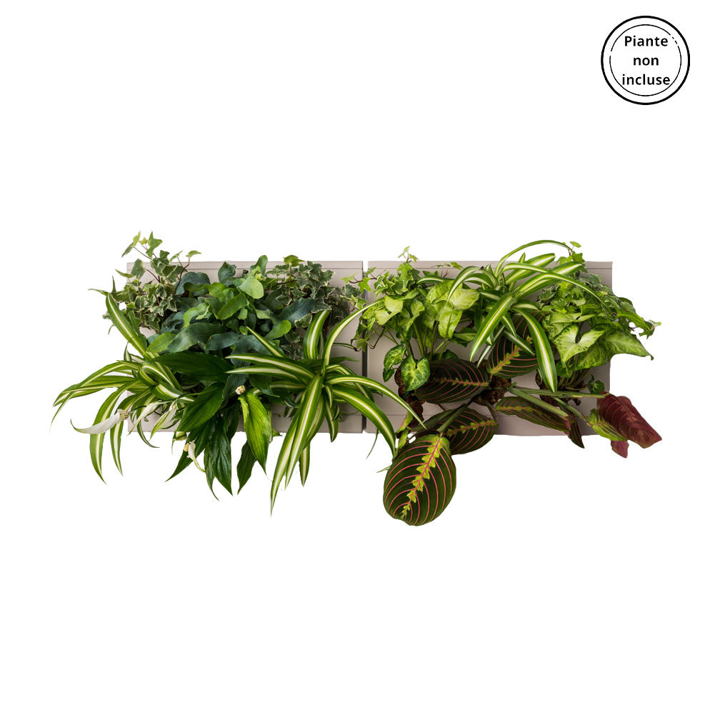 HOH! DUO SMART Horizontal | Struttura Modulare Fai da Te - Grigio-Tortora - hoh.green