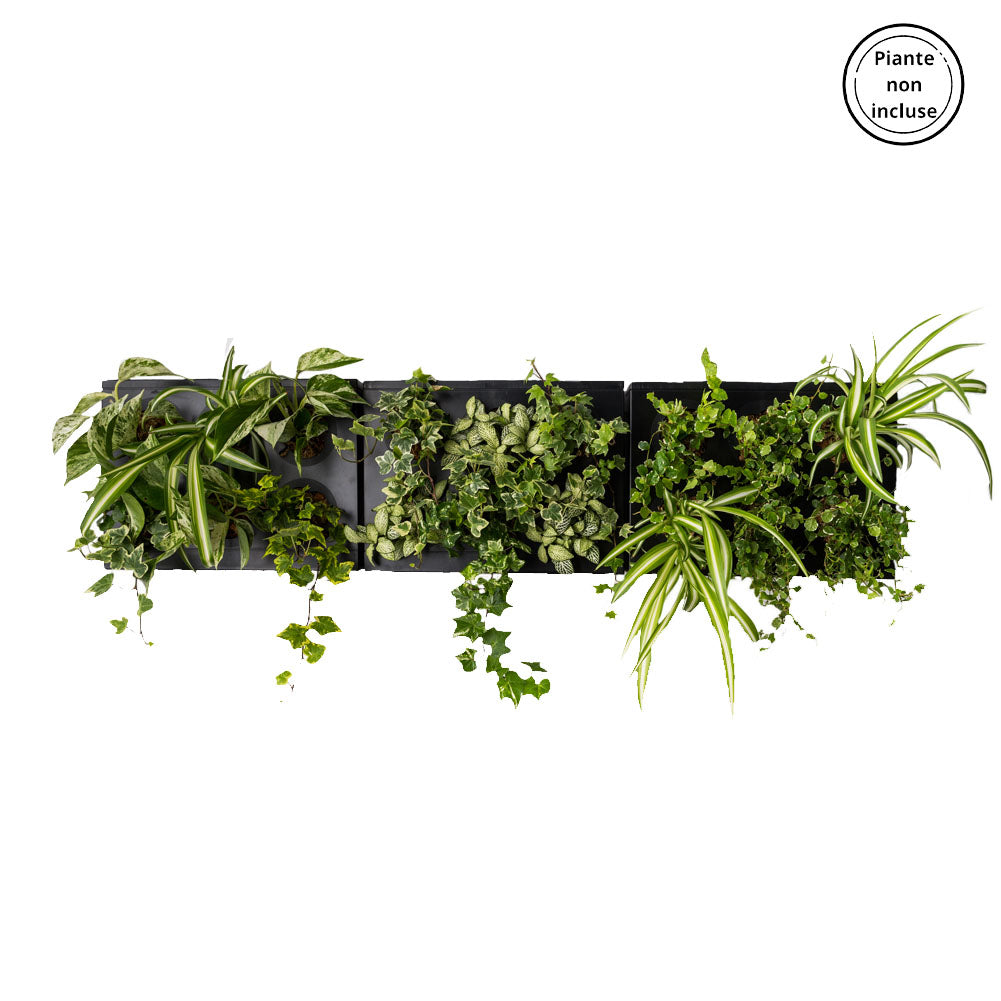 HOH! TRIO SMART Horizontal | Struttura Modulare Fai da Te - Nero - hoh.green