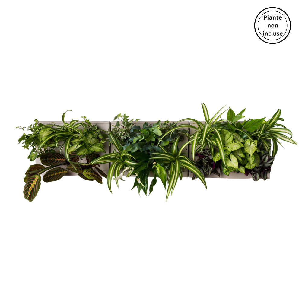 HOH! TRIO SMART Horizontal | Struttura Modulare Fai da Te - Grigio-Tortora - hoh.green