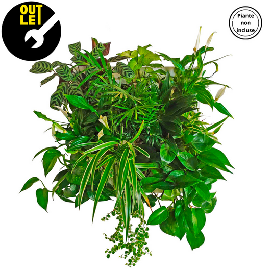 HUB OUTLET | Modulo per giardino verticale fai da te (DIY) | Alluminio riciclato | Colore a scelta