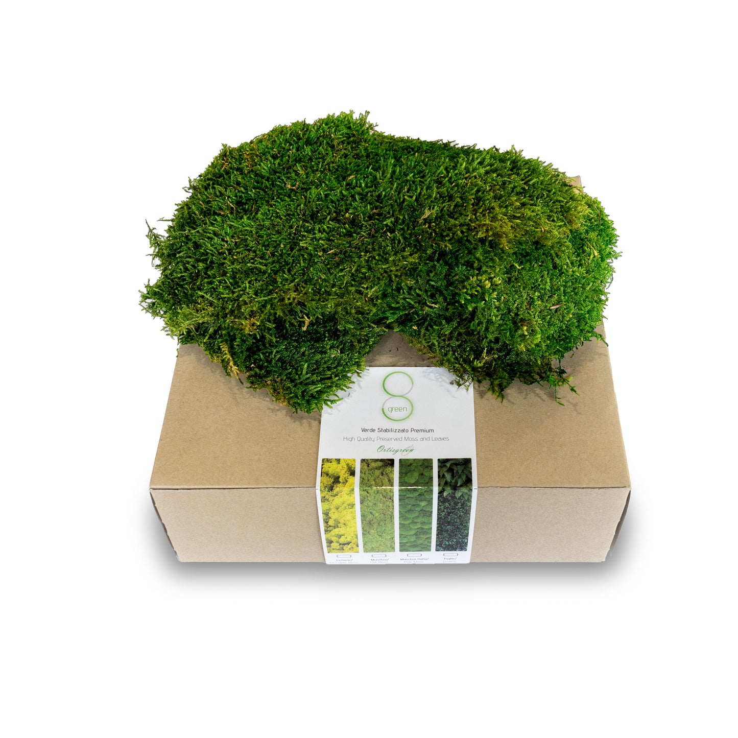 Muschio stabilizzato premium | Verde bosco