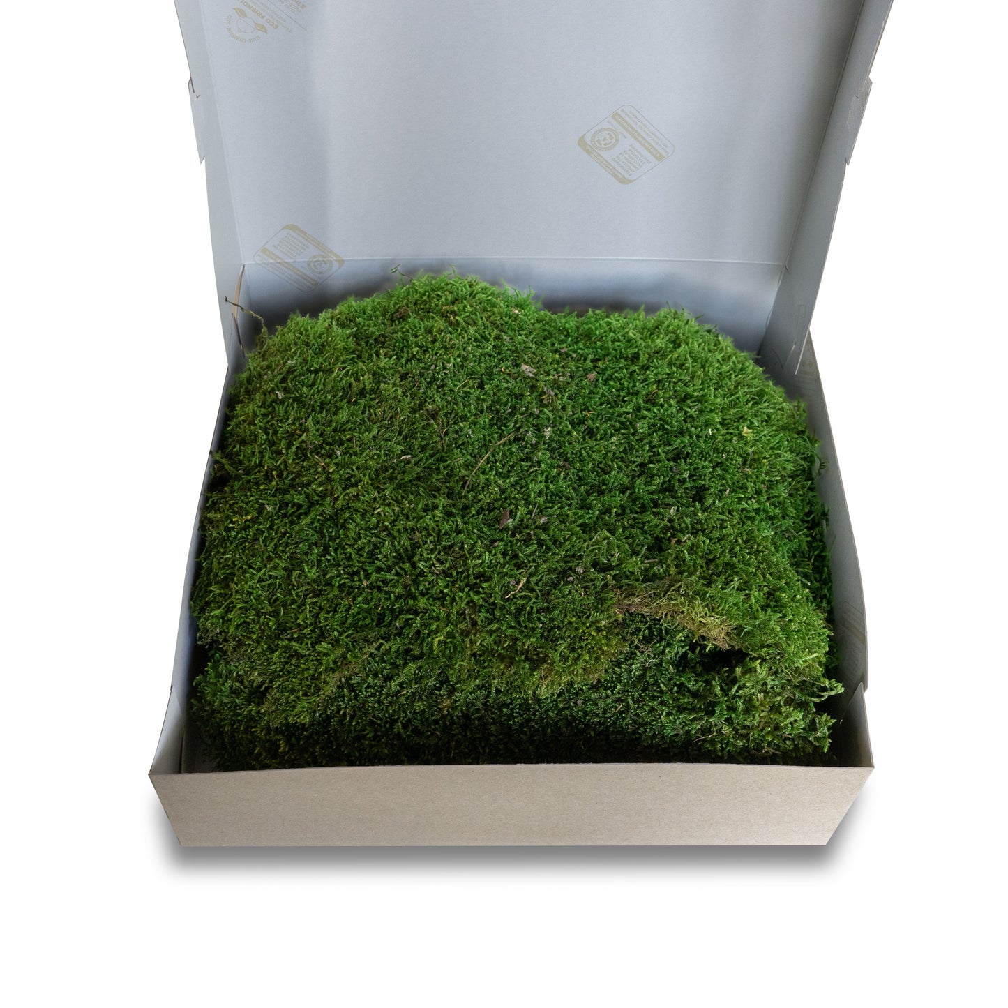 Muschio stabilizzato premium | Verde bosco