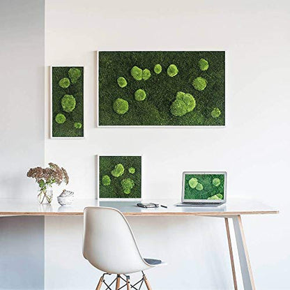 Muschio stabilizzato premium | Verde bosco
