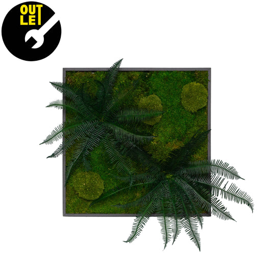 Quadretti 50x50 cm in muschio con essenze stabilizzate | Ex Noleggio