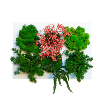 StabilHOH! | Quadro vegetale stabilizzato | Composizione Dahlia - Default Title - hoh.green