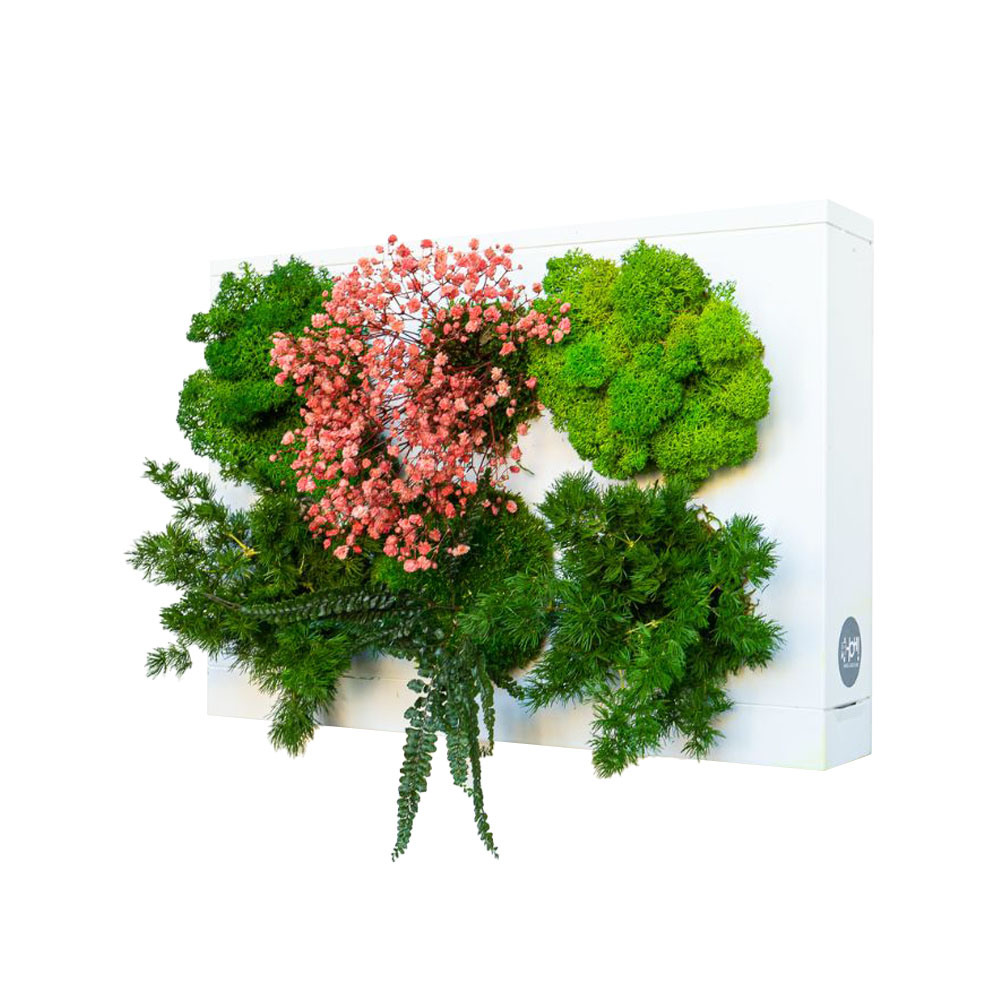 StabilHOH! | Quadro vegetale stabilizzato | Composizione Dahlia - Default Title - hoh.green