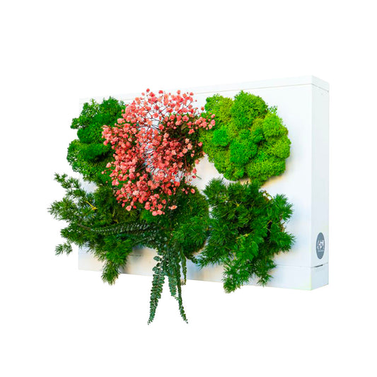 StabilHOH! | Quadro vegetale stabilizzato | Composizione Dahlia - Default Title - hoh.green