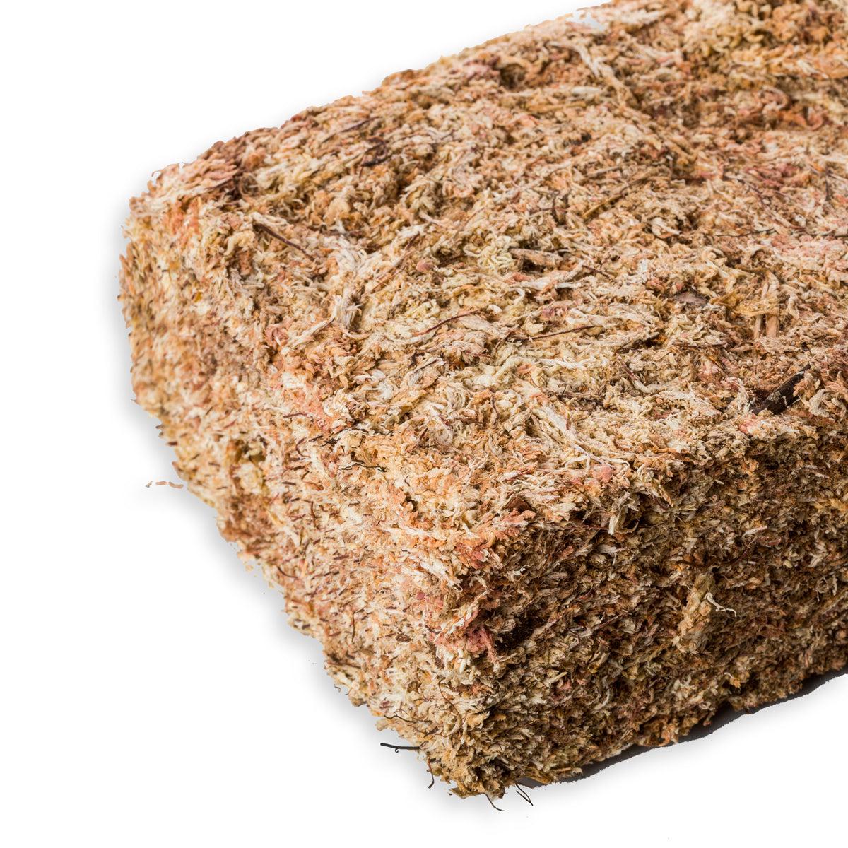 Sfagno Cileno Premium in Fibre | Ortisgreen - 1Kg - hoh.green