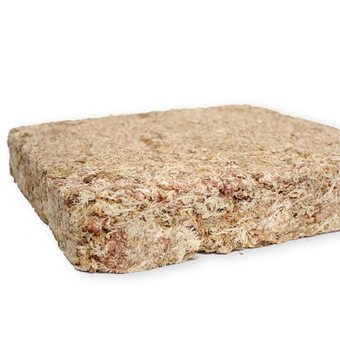 Sfagno Cileno Premium in Fibre | Ortisgreen - 500g - hoh.green