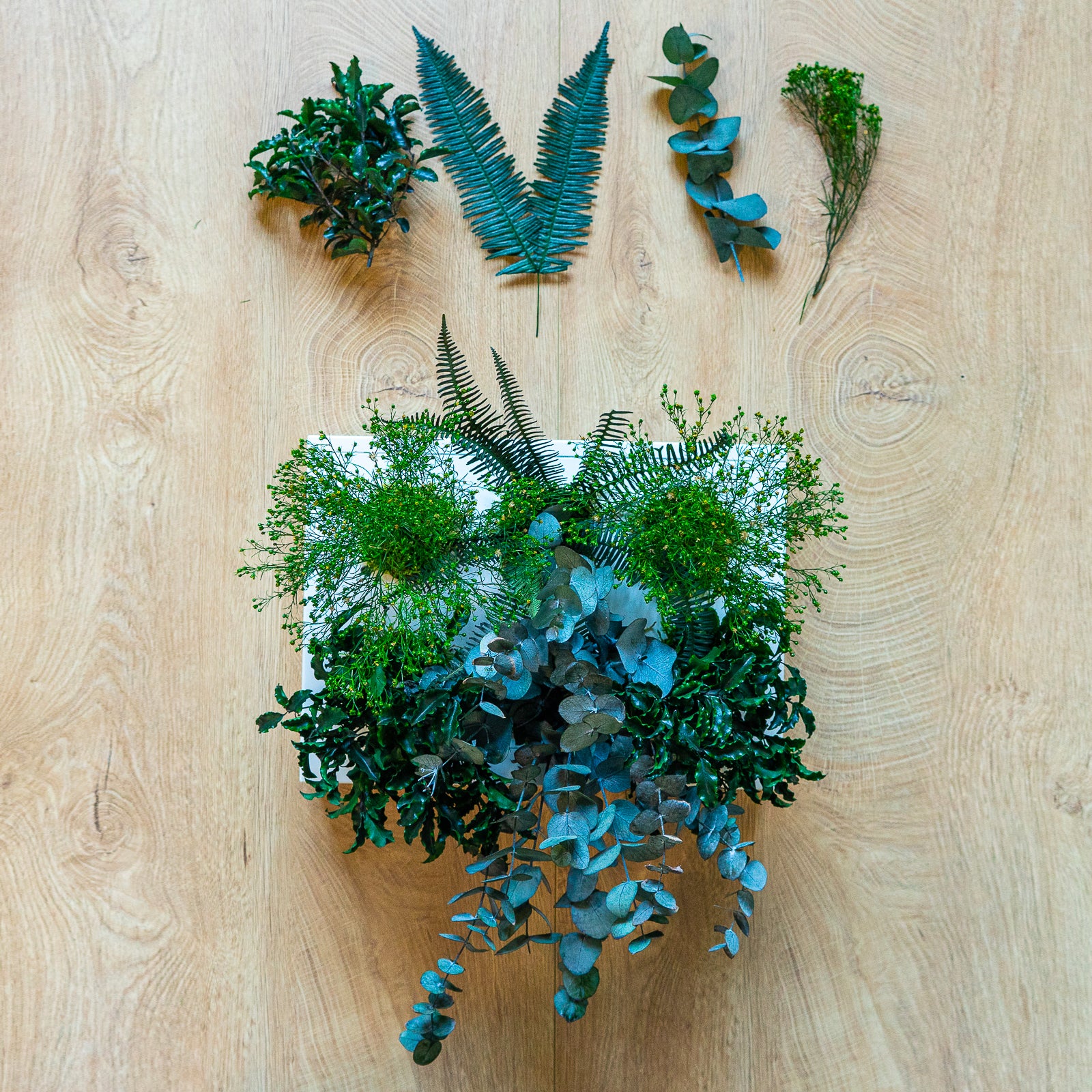 StabilHOH! | Quadro Vegetale Stabilizzato | Composizione Zero Sbatti - hoh.green