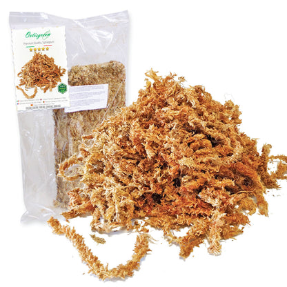 Sfagno Cileno Premium in Fibre | Ortisgreen | 250g - hoh.green
