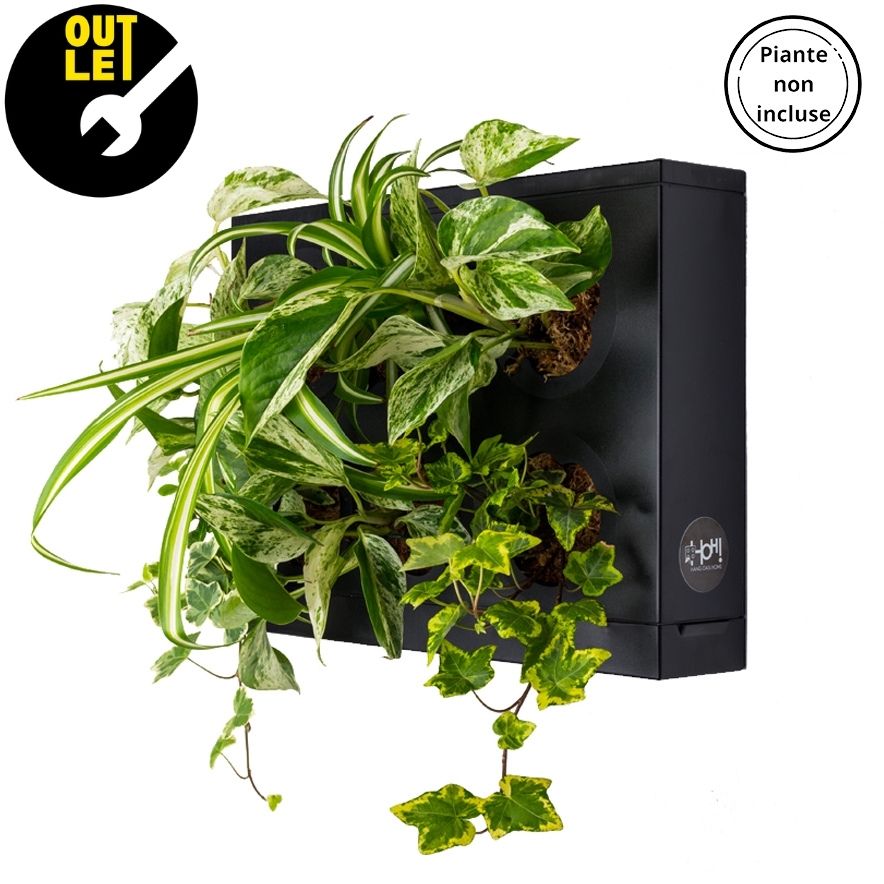 HOH! OUTLET | Quadro Vegetale Fai Te - Nero - hoh.green