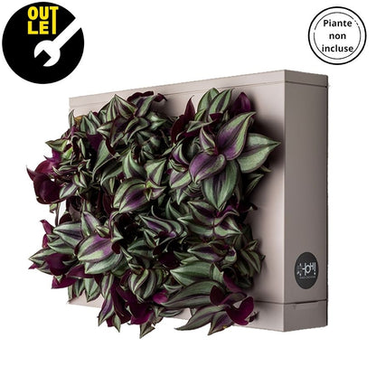 HOH! OUTLET | Quadro Vegetale Fai Te - Grigio Tortora - hoh.green